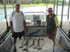 (06/19/2014) - Nice Striped Bass